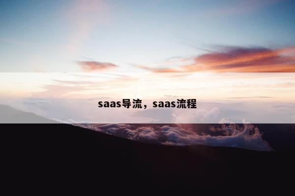 saas导流，saas流程