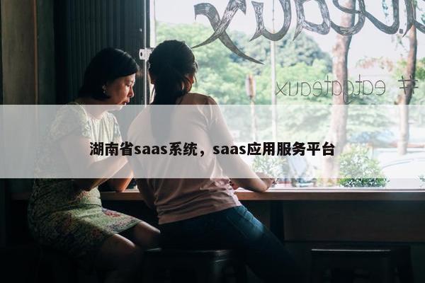 湖南省saas系统，saas应用服务平台