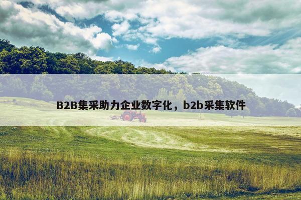 B2B集采助力企业数字化，b2b采集软件