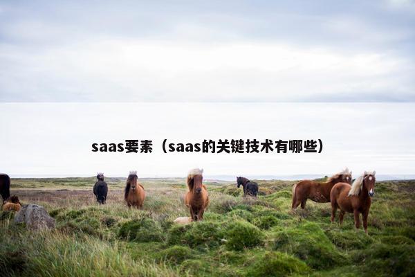 saas要素（saas的关键技术有哪些）