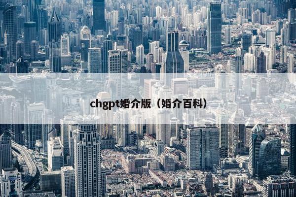 chgpt婚介版（婚介百科）
