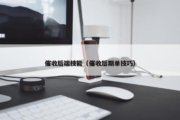 催收后端技能（催收后期单技巧）