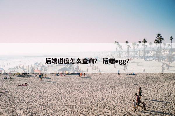 后端进度怎么查询？ 后端egg？