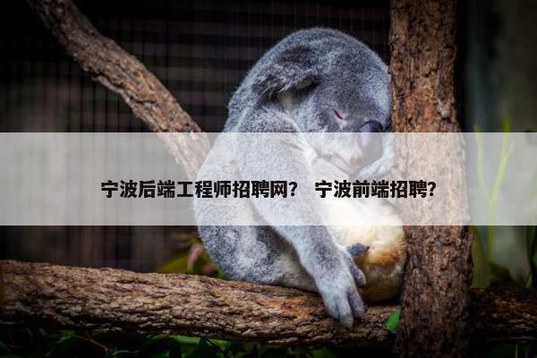 宁波后端工程师招聘网？ 宁波前端招聘？