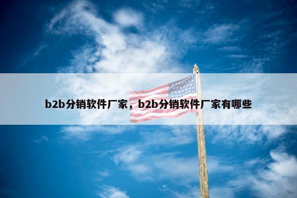 b2b分销软件厂家，b2b分销软件厂家有哪些