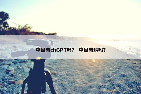 中国有chGPT吗？ 中国有蚋吗？