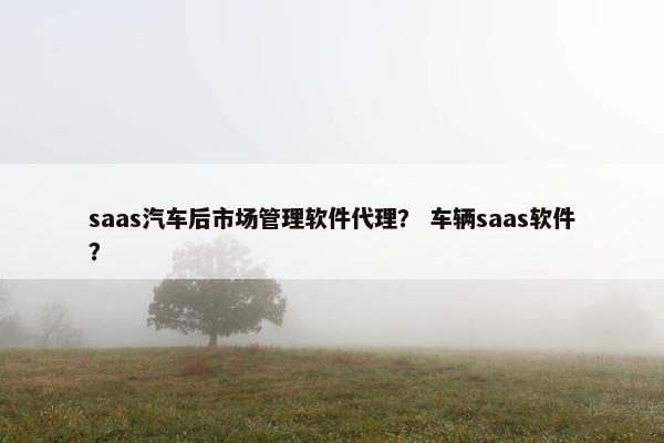 saas汽车后市场管理软件代理？ 车辆saas软件？