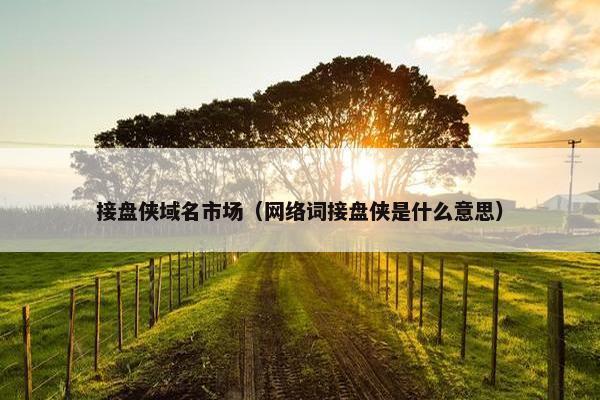 接盘侠域名市场(网络词接盘侠是什么意思)