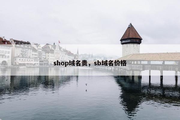 shop域名贵，sb域名价格