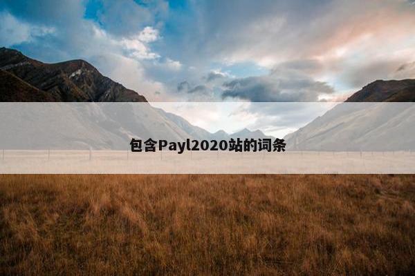 包含Payl2020站的词条