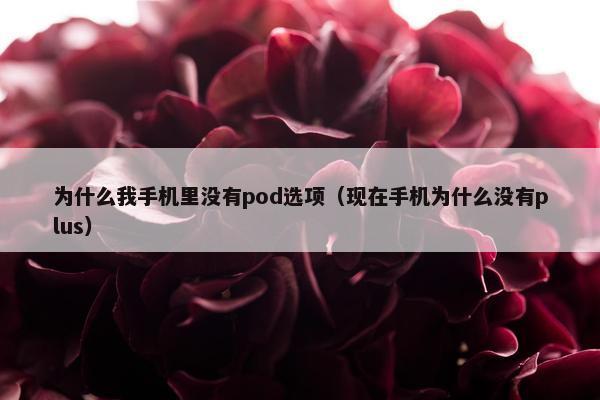 为什么我手机里没有pod选项（现在手机为什么没有plus）