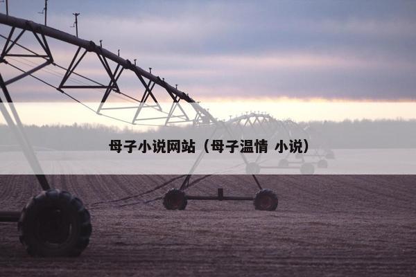 母子小说网站（母子温情 小说）