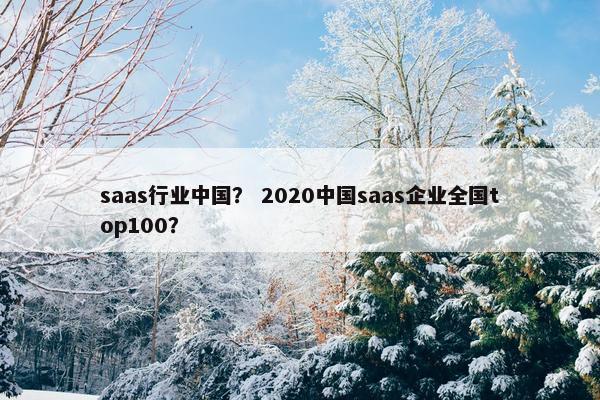saas行业中国？ 2020中国saas企业全国top100？