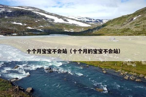 十个月宝宝不会站(十个月的宝宝不会站) 十个月宝宝不会站(十个月的宝宝不会站)