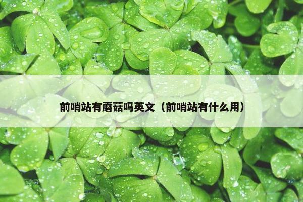 前哨站有蘑菇吗英文（前哨站有什么用）