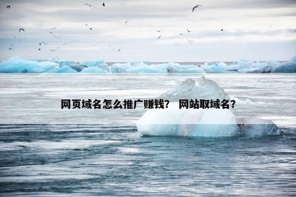 网页域名怎么推广赚钱？ 网站取域名？