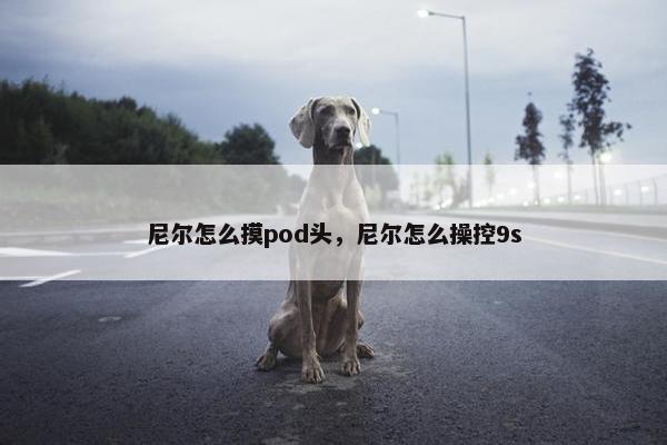 尼尔怎么摸pod头，尼尔怎么操控9s