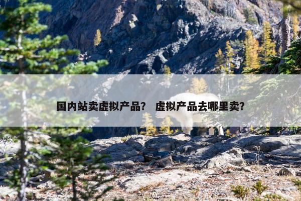 国内站卖虚拟产品？ 虚拟产品去哪里卖？