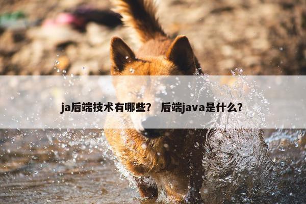 ja后端技术有哪些？ 后端java是什么？
