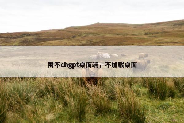 用不chgpt桌面端,不加载桌面 用不chgpt桌面端,不加载桌面