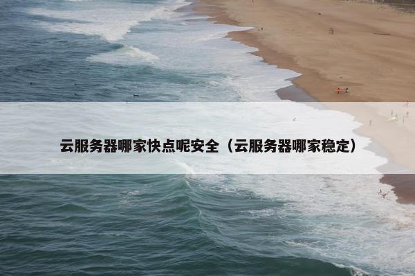 云服务器哪家快点呢安全（云服务器哪家稳定）