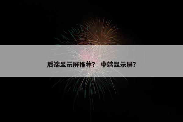 后端显示屏推荐？ 中端显示屏？