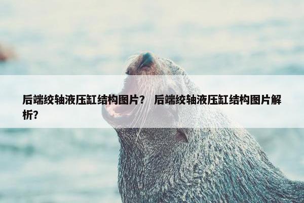 后端绞轴液压缸结构图片？ 后端绞轴液压缸结构图片解析？