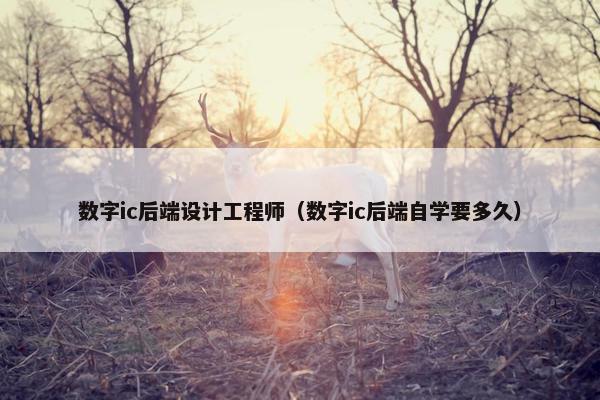 数字ic后端设计工程师（数字ic后端自学要多久）