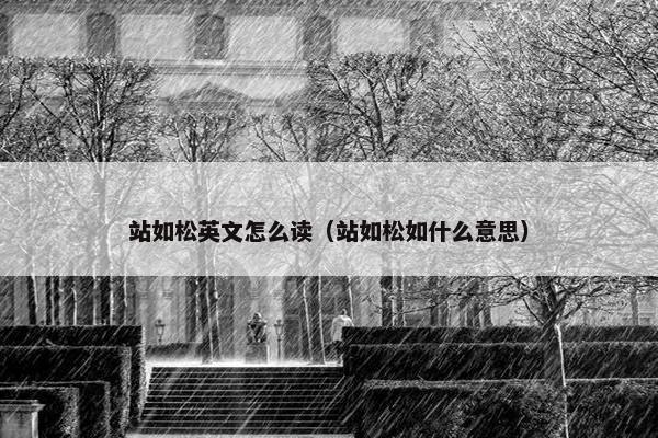 站如松英文怎么读（站如松如什么意思）