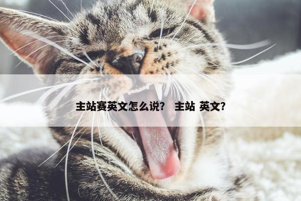 主站赛英文怎么说？ 主站 英文？