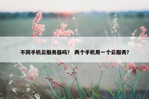 不同手机云服务器吗？ 两个手机用一个云服务？