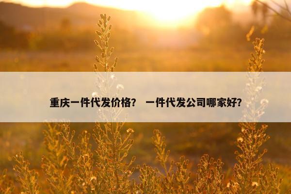 重庆一件代发价格？ 一件代发公司哪家好？