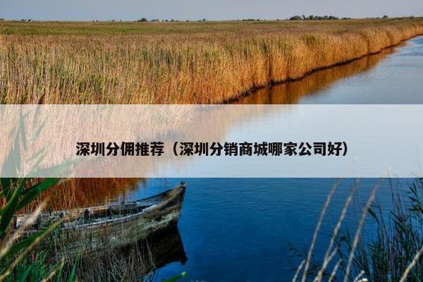 深圳分佣推荐（深圳分销商城哪家公司好）