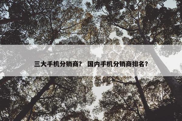 三大手机分销商？ 国内手机分销商排名？