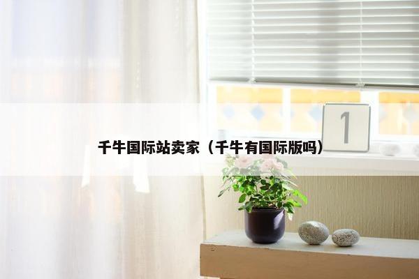 千牛国际站卖家（千牛有国际版吗）