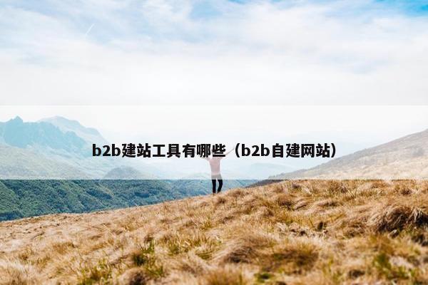 b2b建站工具有哪些（b2b自建网站）