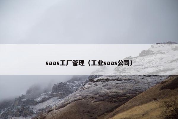 saas工厂管理（工业saas公司）