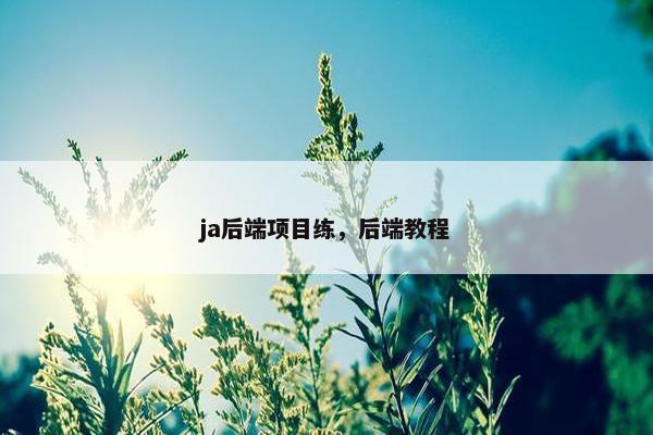 ja后端项目练，后端教程