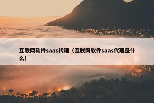 互联网软件saas代理（互联网软件saas代理是什么）