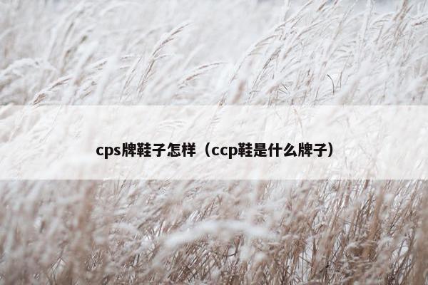 cps牌鞋子怎样（ccp鞋是什么牌子）