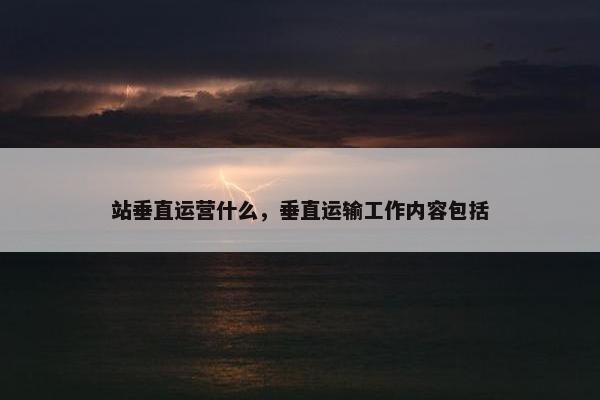 站垂直运营什么，垂直运输工作内容包括