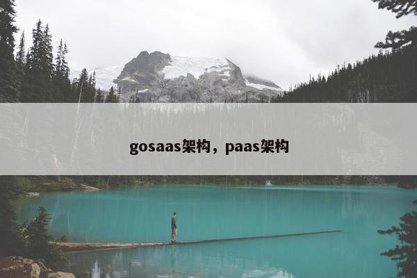 gosaas架构，paas架构