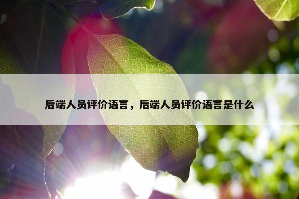 后端人员评价语言，后端人员评价语言是什么