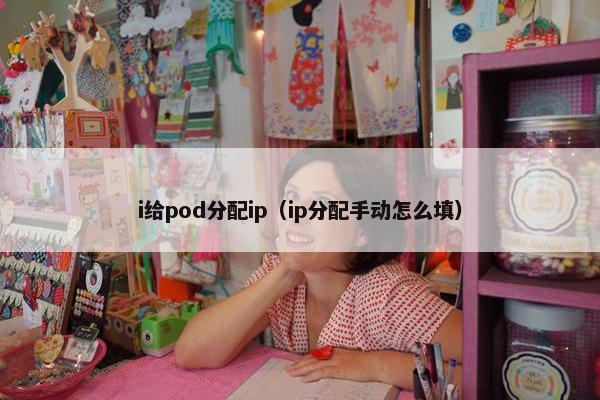 i给pod分配ip（ip分配手动怎么填）