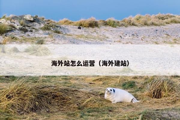海外站怎么运营（海外建站）