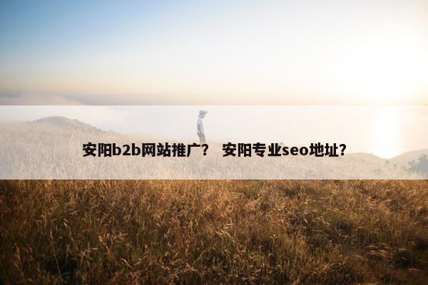 安阳b2b网站推广？ 安阳专业seo地址？