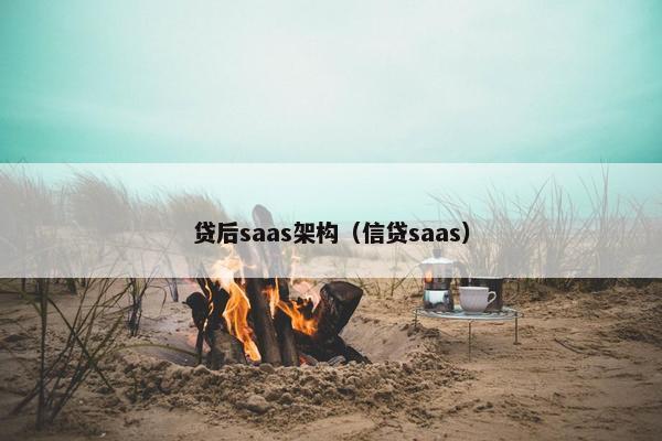 贷后saas架构（信贷saas）