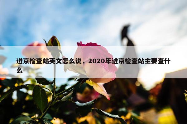 进京检查站英文怎么说，2020年进京检查站主要查什么