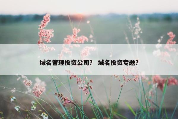 域名管理投资公司？ 域名投资专题？