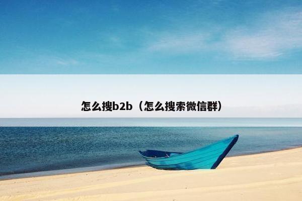 怎么搜b2b（怎么搜索微信群）